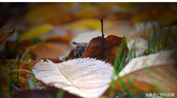 俞敏洪18条励志语录,最后一条是你最该记住的(图3) 俞敏洪18条励志语录,最后一条是你最该记住的(图3)