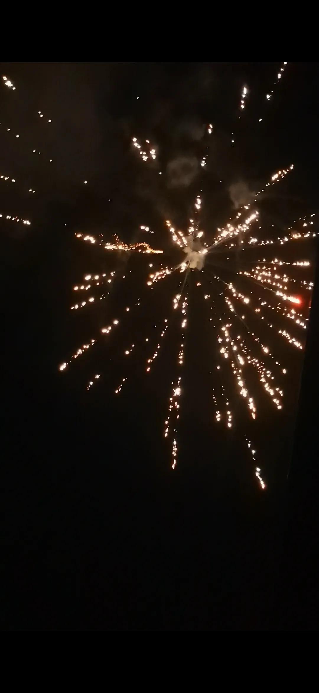 新年第一天，万事皆如意(图1)