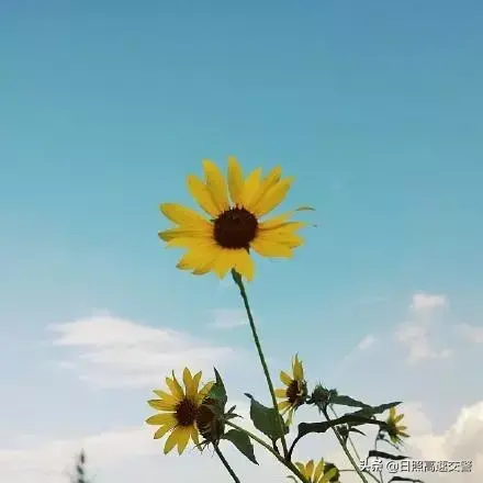 再苦也要微笑，再痛也要坚强(图3)