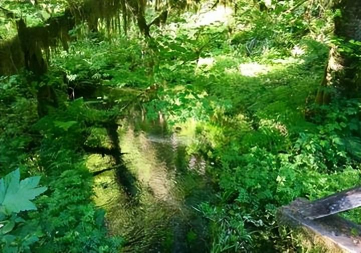 希望与光明：《圣诞颂歌》的永恒主题(图5)