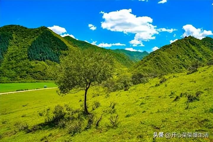 希望与光明：《圣诞颂歌》的永恒主题(图9)