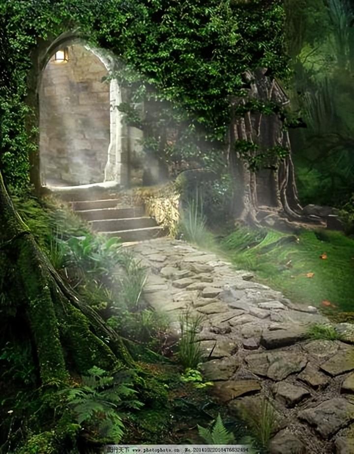 希望与光明：《圣诞颂歌》的永恒主题(图20)