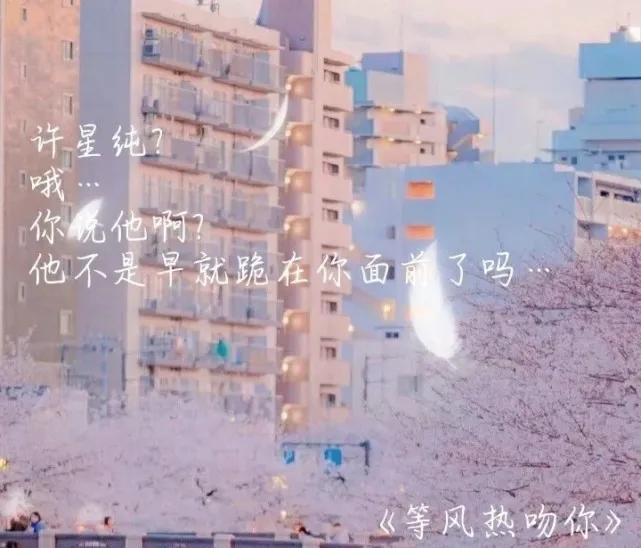 《等风热吻你》语录(图2)