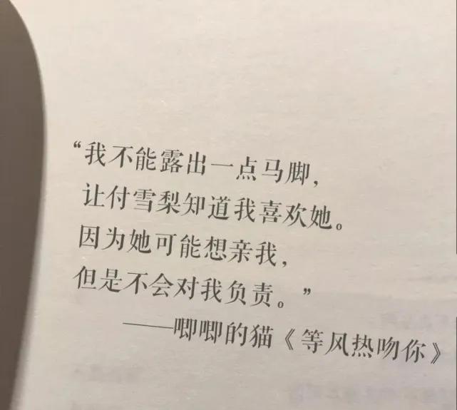 《等风热吻你》语录(图3)