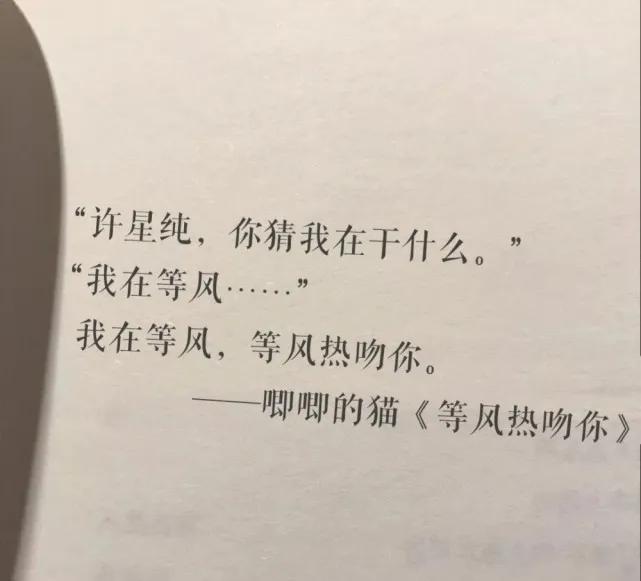 《等风热吻你》语录(图4)