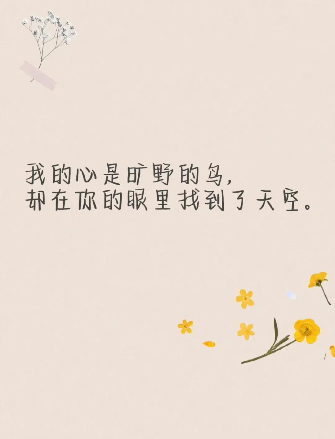 人民日报每日金句摘抄(图11)