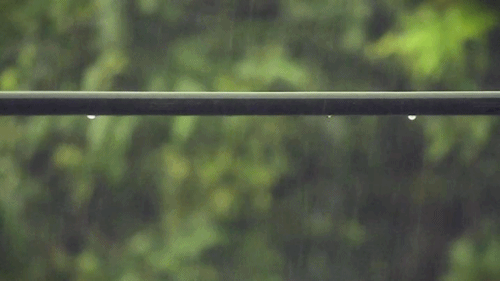 风起，雨落，淋淋漓漓……(图4)