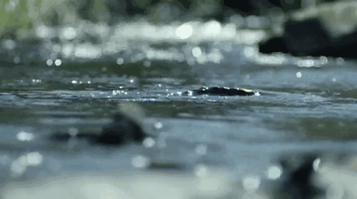 风起，雨落，淋淋漓漓……(图5)