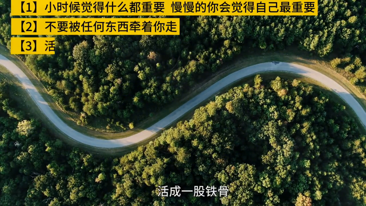 心路历程：勇往直前，永不退缩(图3)