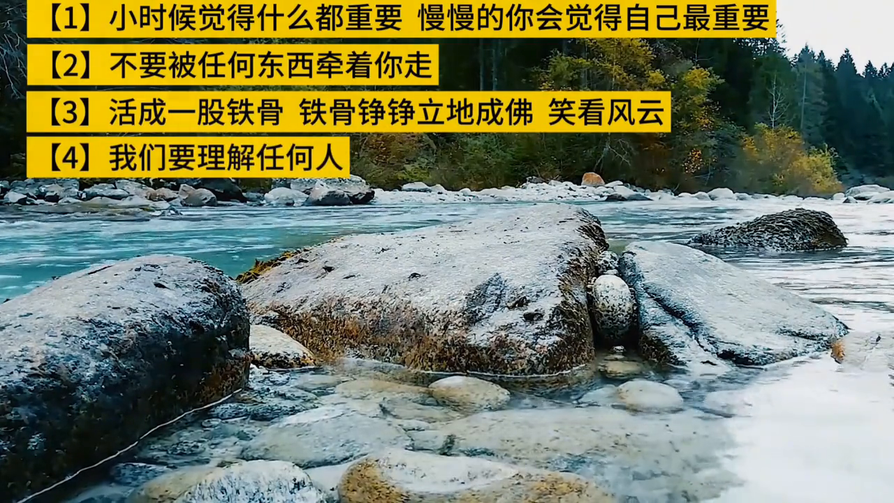 心路历程：勇往直前，永不退缩(图4)