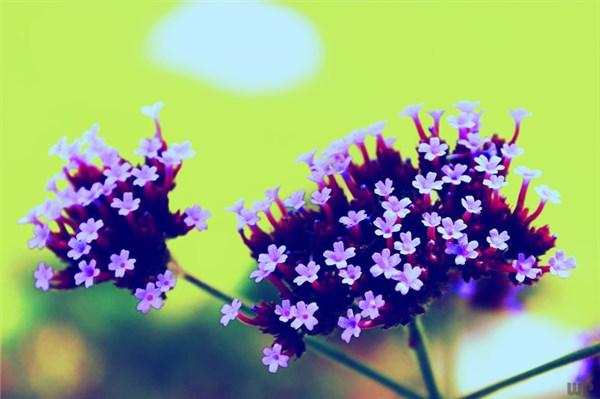 成熟男人的励志语录，深刻走心，早看早受益！(图3)