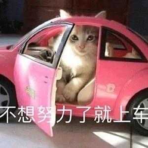 20条适合发朋友圈的沙雕搞笑句子：多我一个富婆会破坏生态平衡吗(图2)