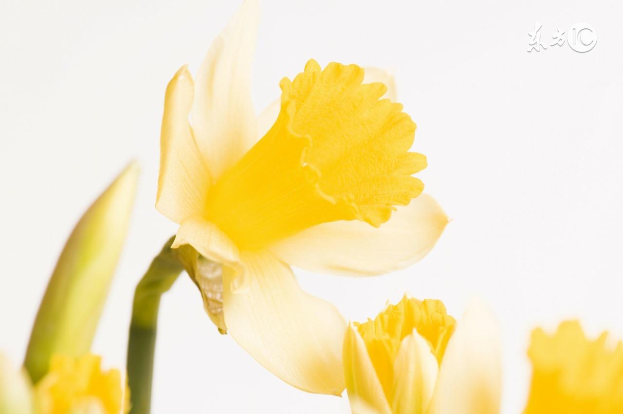 调侃上网的新句子,很有趣!(图1) 调侃上网的新句子,很有趣!(图1)