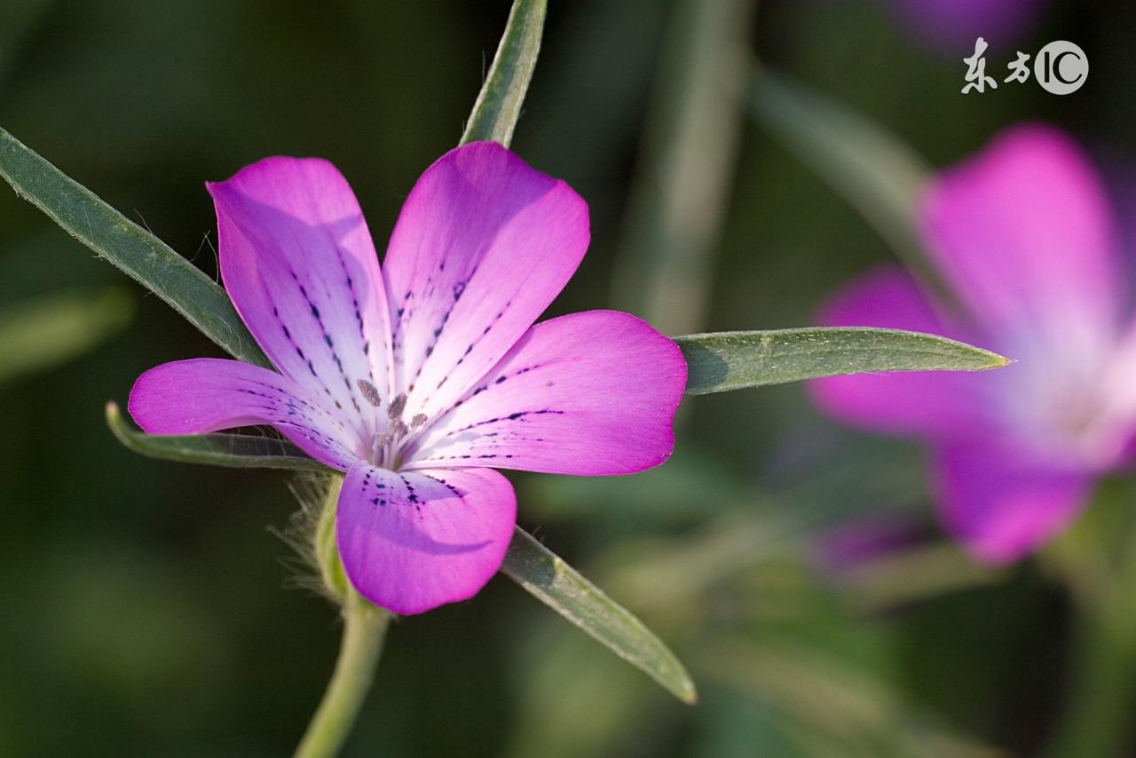 调侃上网的新句子,很有趣!(图2) 调侃上网的新句子,很有趣!(图2)