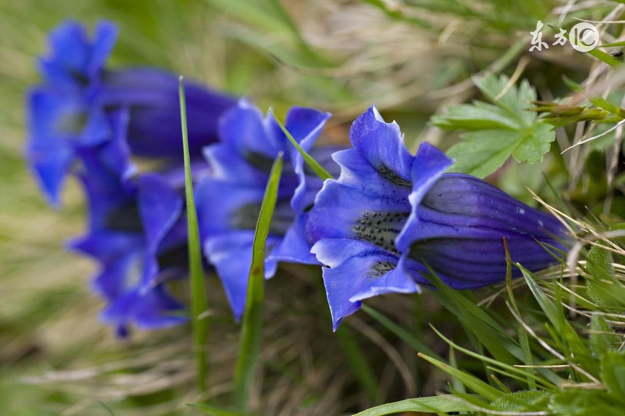 调侃上网的新句子,很有趣!(图3) 调侃上网的新句子,很有趣!(图3)