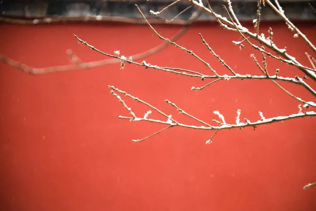 99句关于雪的诗词，带着孩子一起赏诗意雪景吧！(图2)