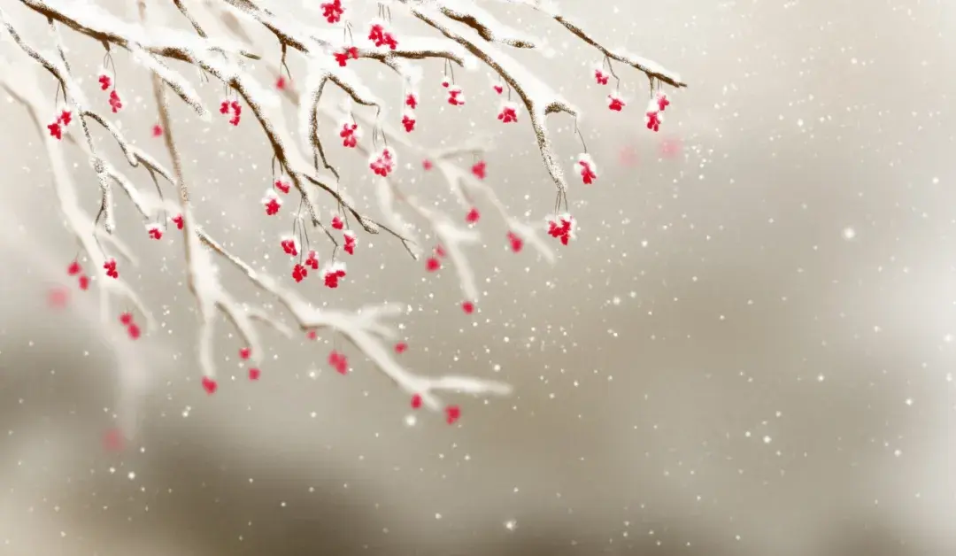 99句关于雪的诗词，带着孩子一起赏诗意雪景吧！(图6)