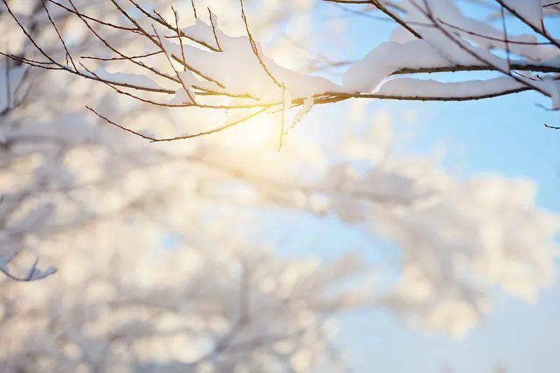 走进古诗词：邂逅冬天，领略雪之美(图2)