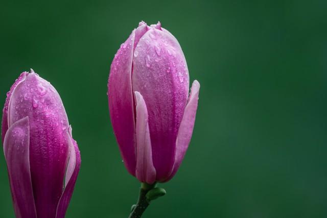 想念你，有苦涩，也有甜蜜(图2)