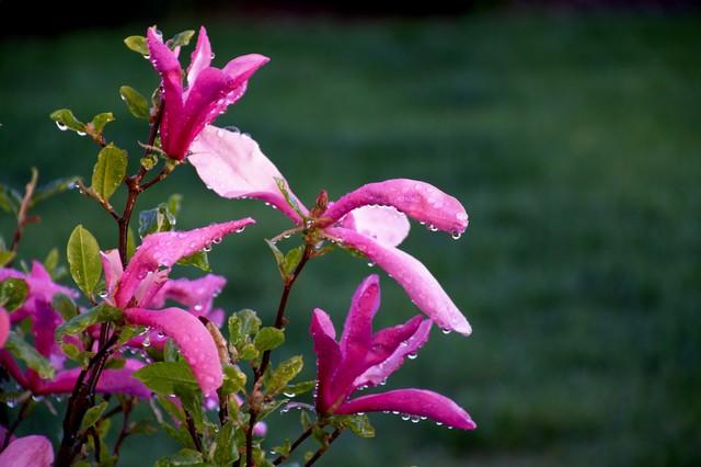 想念你，有苦涩，也有甜蜜(图4)