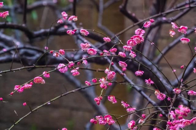 想念你，有苦涩，也有甜蜜(图5)