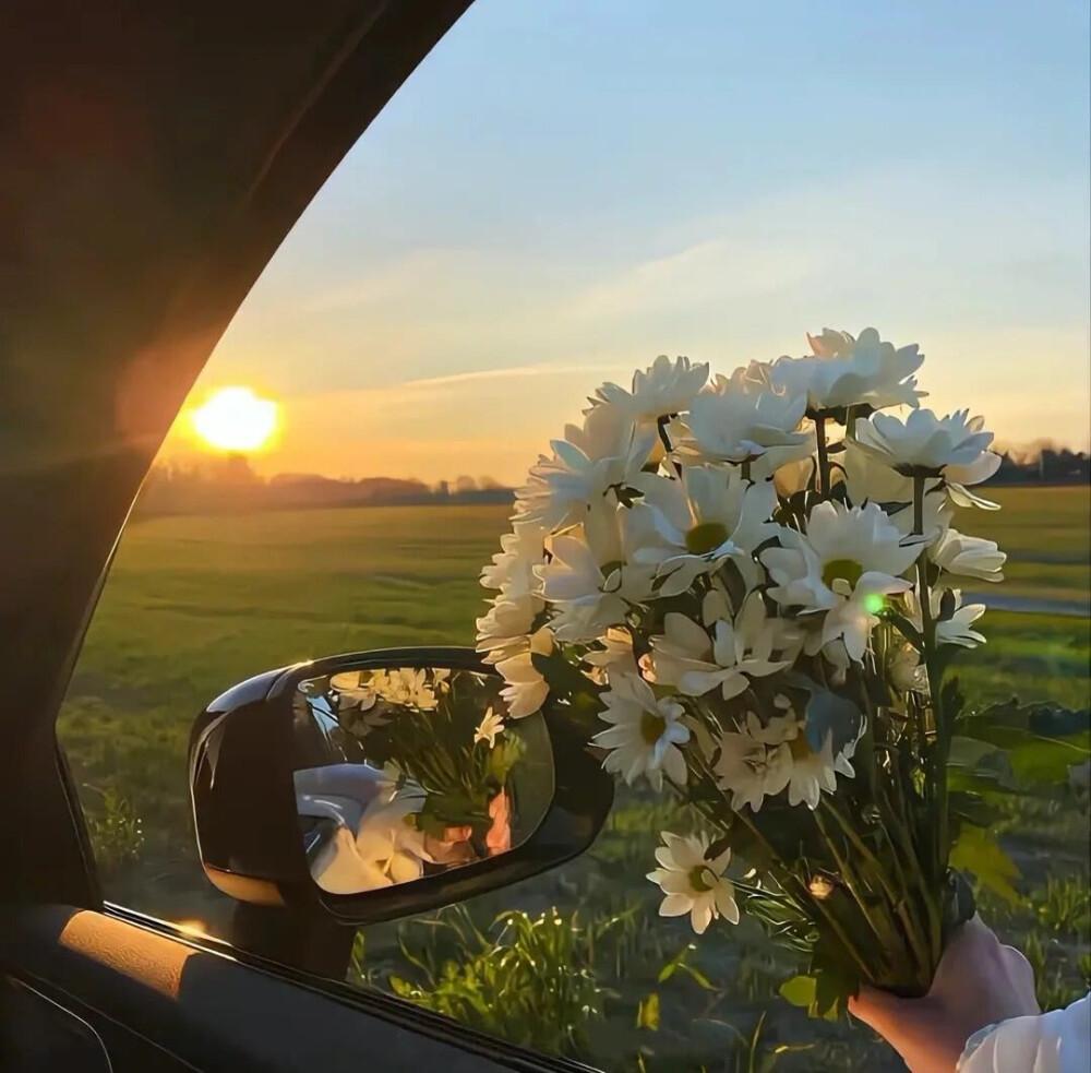 文案短句︱温柔治愈系文案(图2)