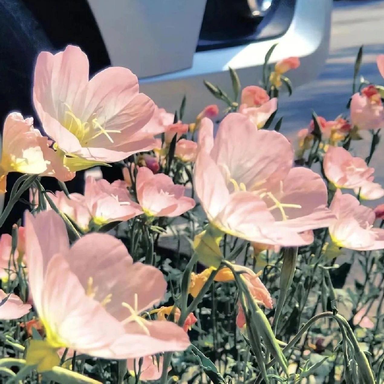 文案短句︱温柔治愈系文案(图5)