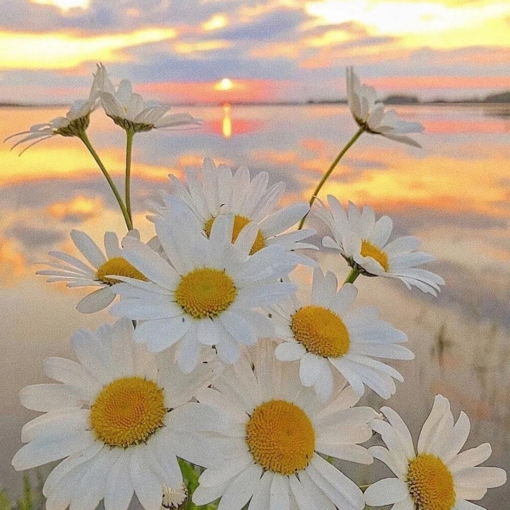 文案短句︱温柔治愈系文案(图7)