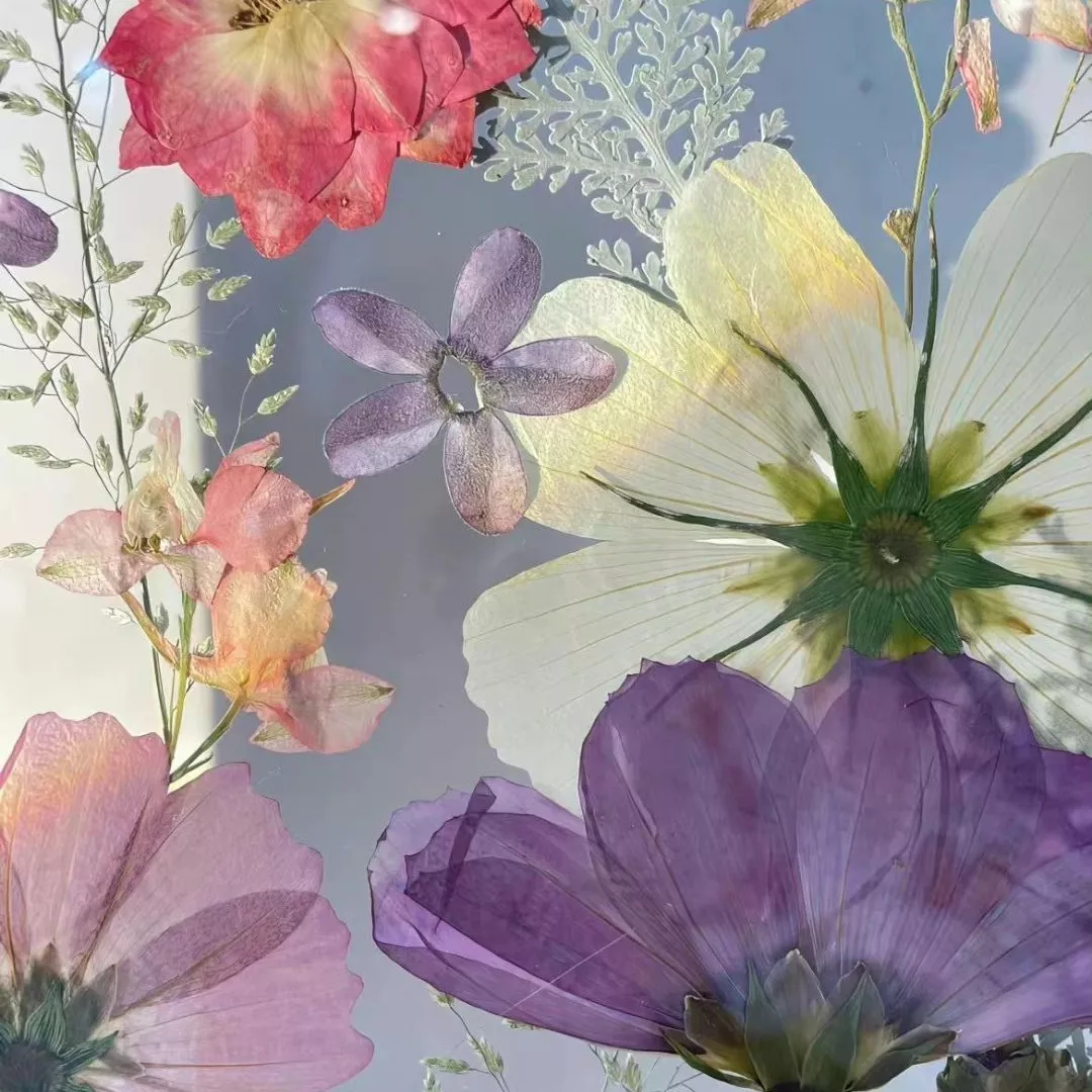 文案短句︱温柔治愈系文案(图11)