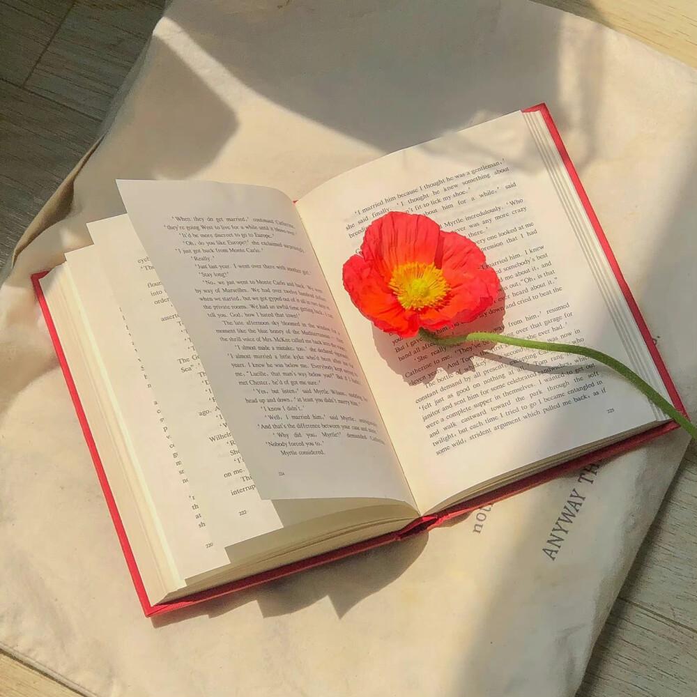 文案短句︱温柔治愈系文案(图16)