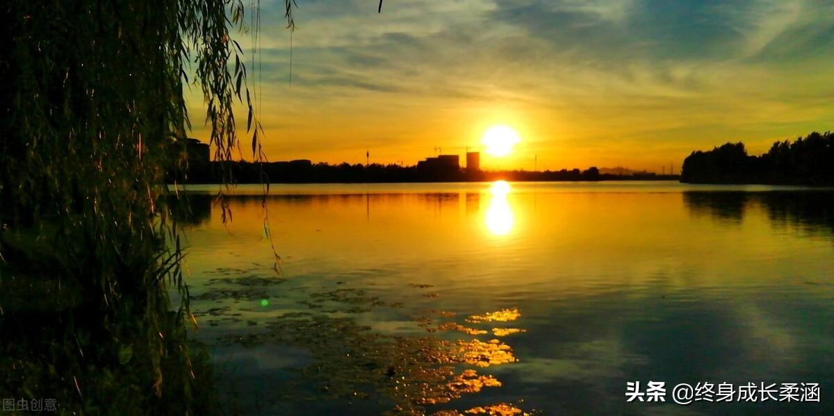 《论语》道德修养之“仁德”篇—仁者安仁，知者利仁(图3)