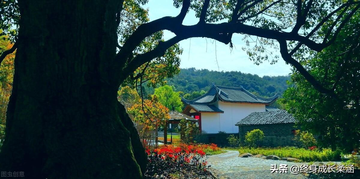 《论语》道德修养之“仁德”篇—仁者安仁，知者利仁(图6)