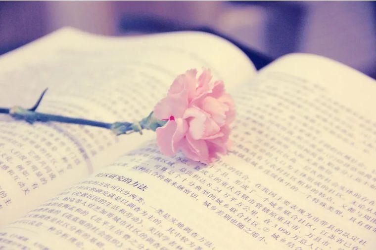 古籍名句 |《初刻拍案惊奇》名言合辑，文案人必备硬货，一键收藏(图4)