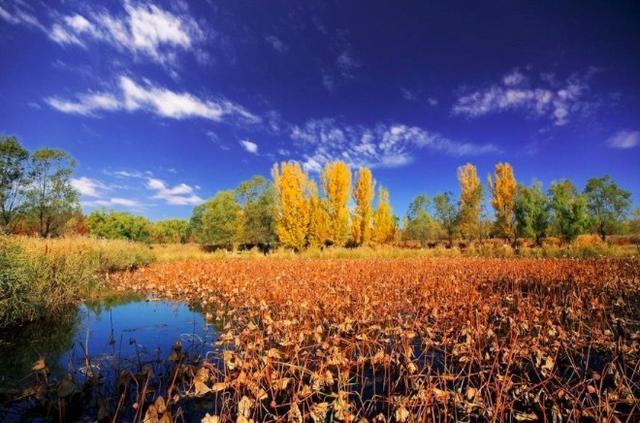 《初刻拍案惊奇》里面的10句话，看后使人深受启发！(图3)