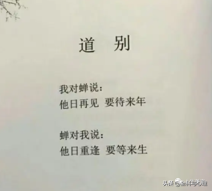 和朋友道别的唯美句子，表达不舍分别的高级文案(图5)