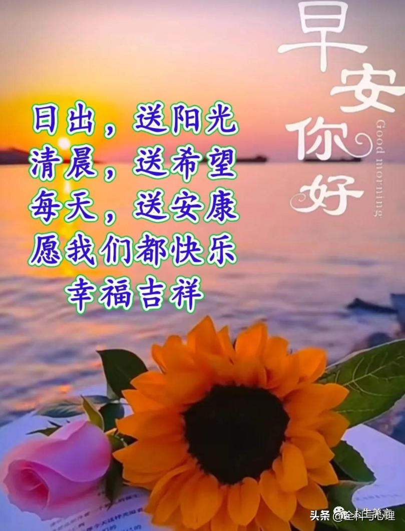 中老年简短问候祝福语，老同学清晨问好句子(图4)