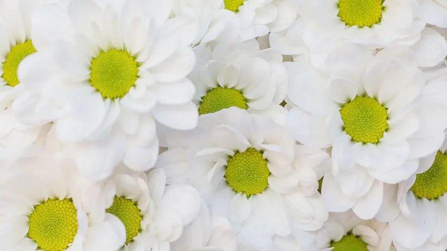 青春岁月里的深情寄语，珍藏同学录留言(图2)