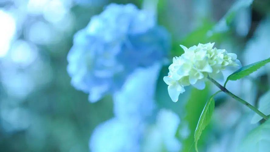 青春岁月里的深情寄语，珍藏同学录留言(图4)