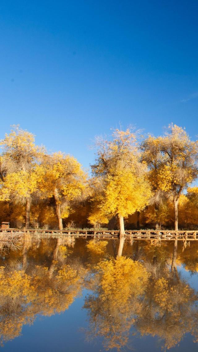 激励人努力上进的励志格言86句(图1)