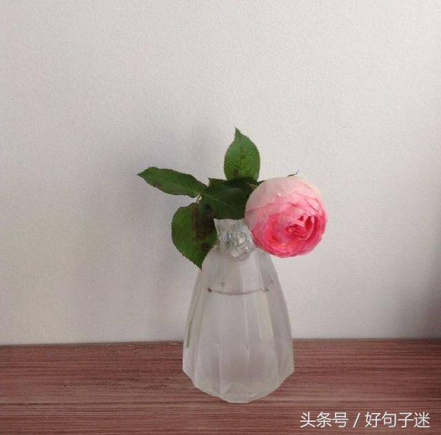 前任三再见前任经典语录台词对白，句句精辟犀利，让人深思！(图2)