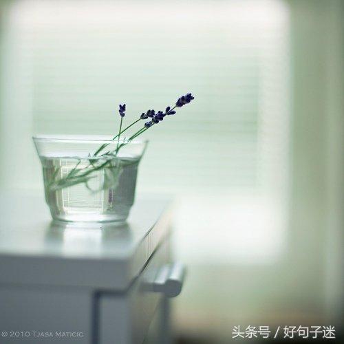 前任三再见前任经典语录台词对白，句句精辟犀利，让人深思！(图7)