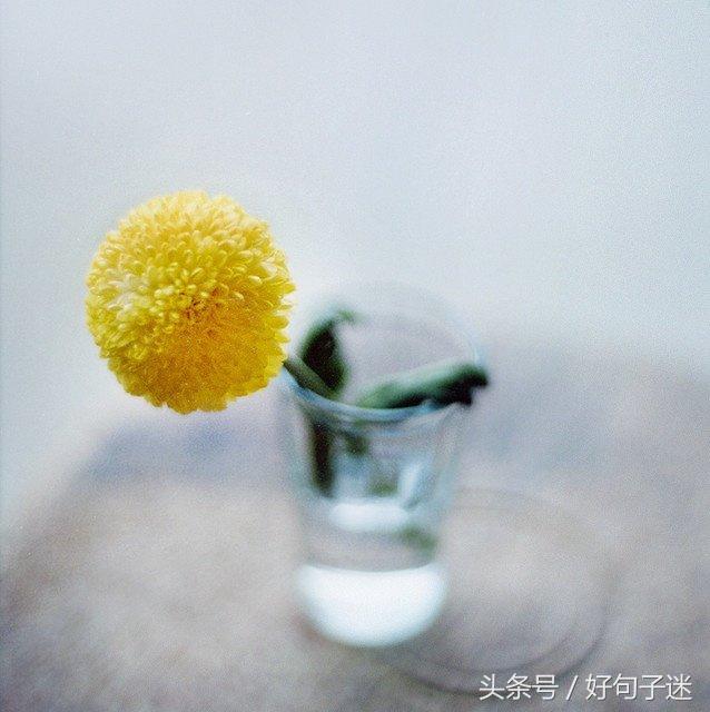 前任三再见前任经典语录台词对白，句句精辟犀利，让人深思！(图9)