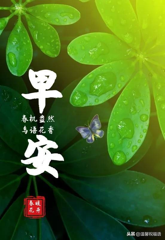 微信早安心语经典励志语 早安激励人的正能量句子(图7)