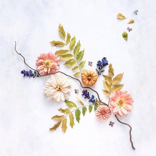 朋友圈积极向上的说说短句，阳光正能量，值得分享(图1)