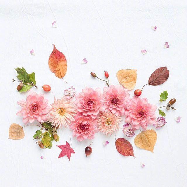 朋友圈积极向上的说说短句，阳光正能量，值得分享(图4)