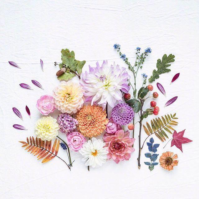 朋友圈积极向上的说说短句，阳光正能量，值得分享(图6)