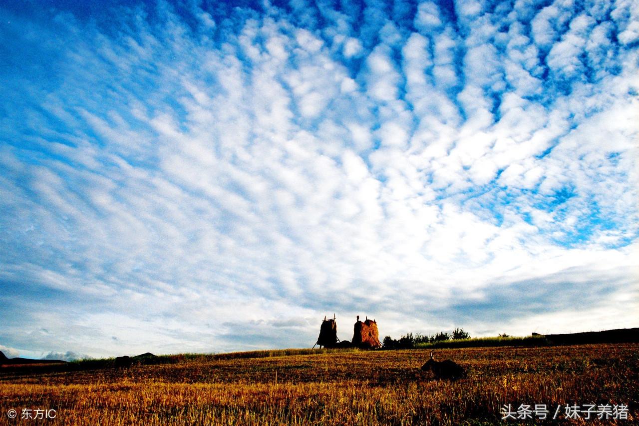 农村俗语：“雨前有风雨不久，雨后无风雨不停”，知道背后原因吗(图2)