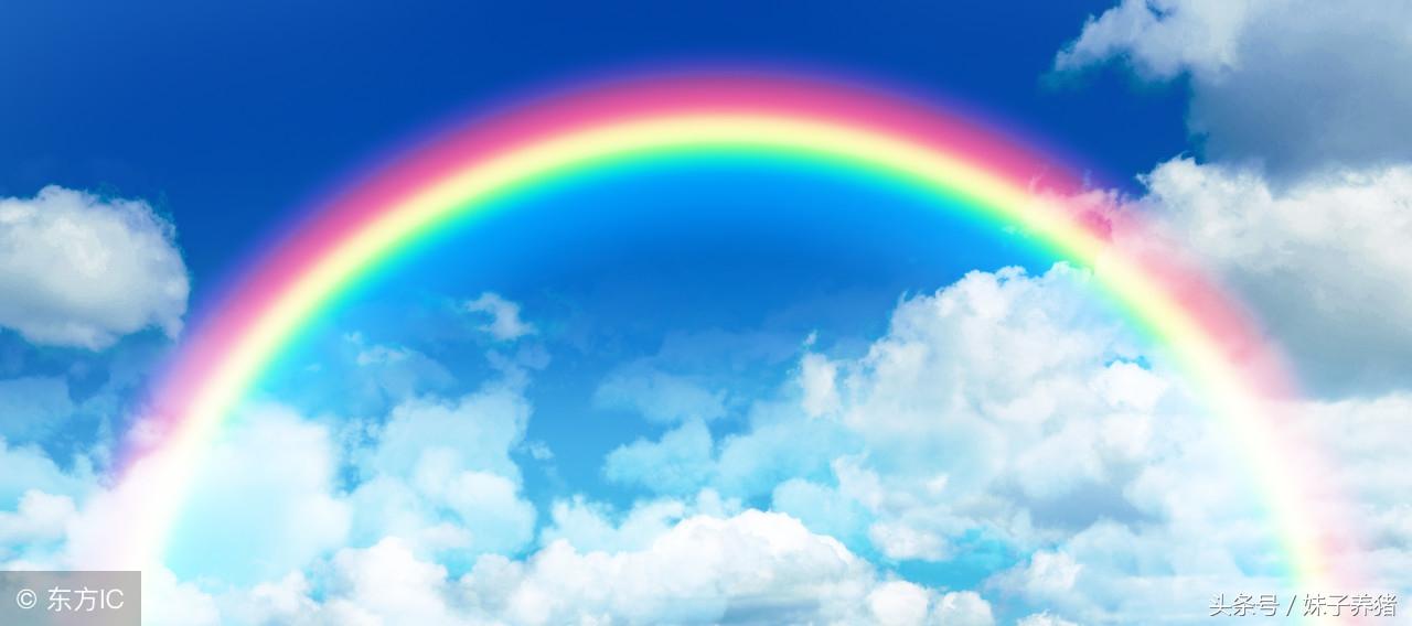 农村俗语：“雨前有风雨不久，雨后无风雨不停”，知道背后原因吗(图3)