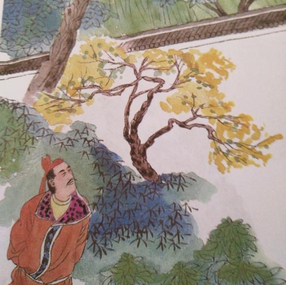 雨前初见花间蕊，雨后全无叶底花(图2)