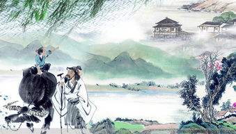 雨前初见花间蕊，雨后全无叶底花(图5)